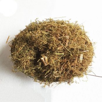 Artemisia Annua Artemisia Odora Dry Leaves Improve Kidney Function