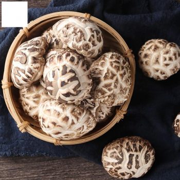 Premium Dried Shiitake Mushroom Dried Chinese Wild Organic Shiitake Mushrooms Dried Shiitake Mushroom