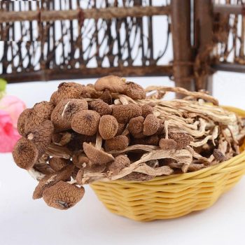 Dried Tea Tree Mushrooms Fresh and Tender