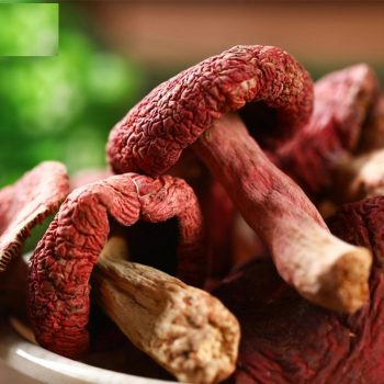 Grade Dried Red Mushroom Russula Vinous Russula Grade Dried