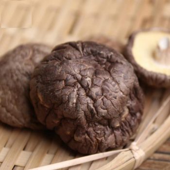 Lentinan Mushroom Chinese Shiitake Mushroom Pure Wild Dried Shiitake Mushrooms